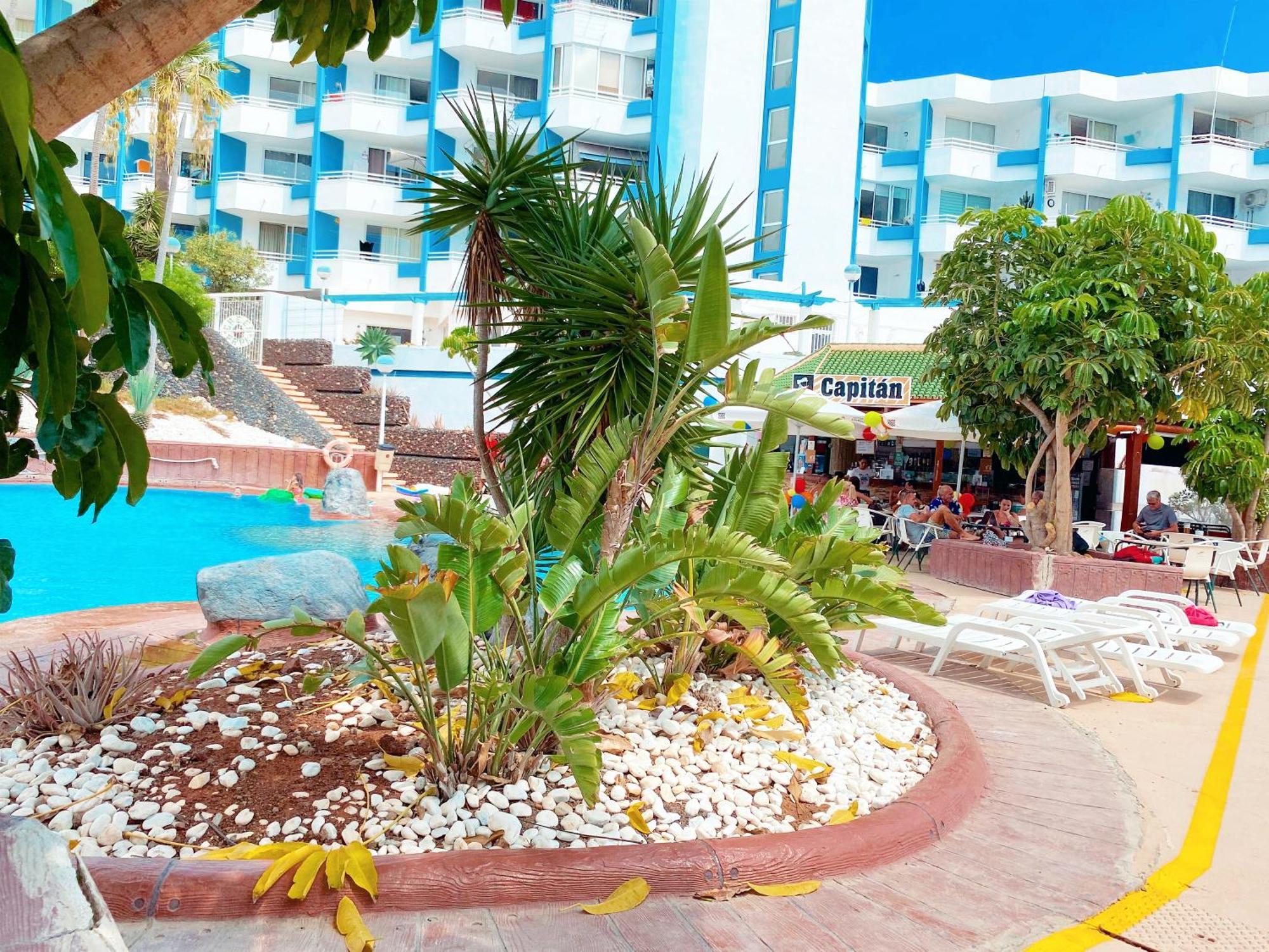 Sissy Tenerife Apartman Σαν Μιγκέλ ντε Αμπόνα Εξωτερικό φωτογραφία